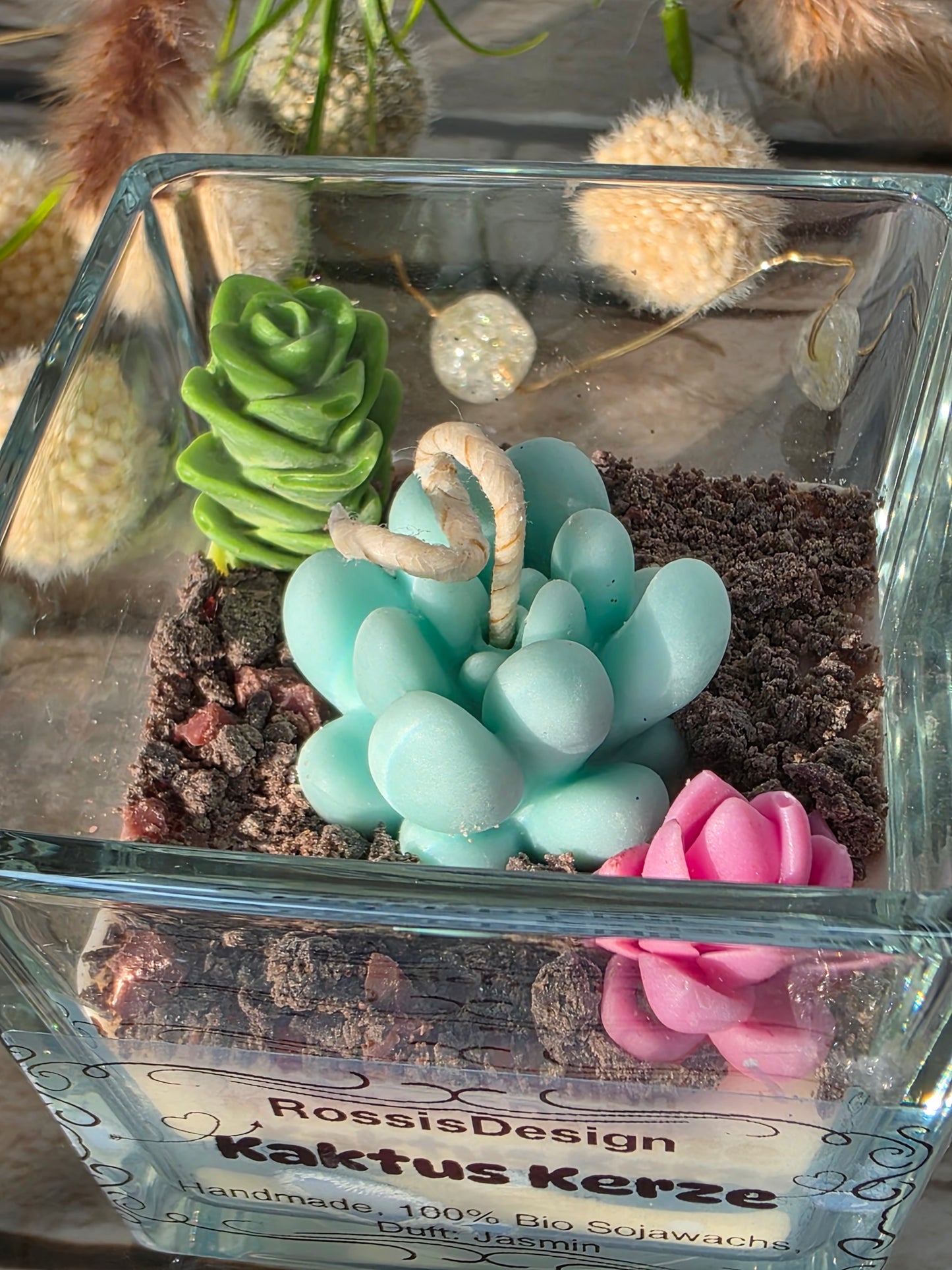 Kaktus Kerze Jasmin 2