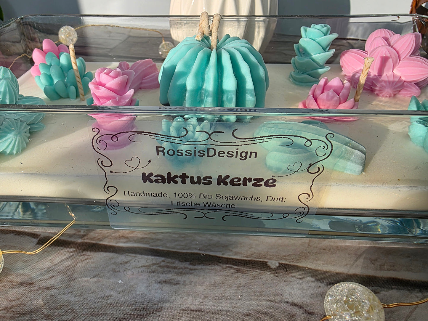 Kaktustraum Sukkulenten Kerze
