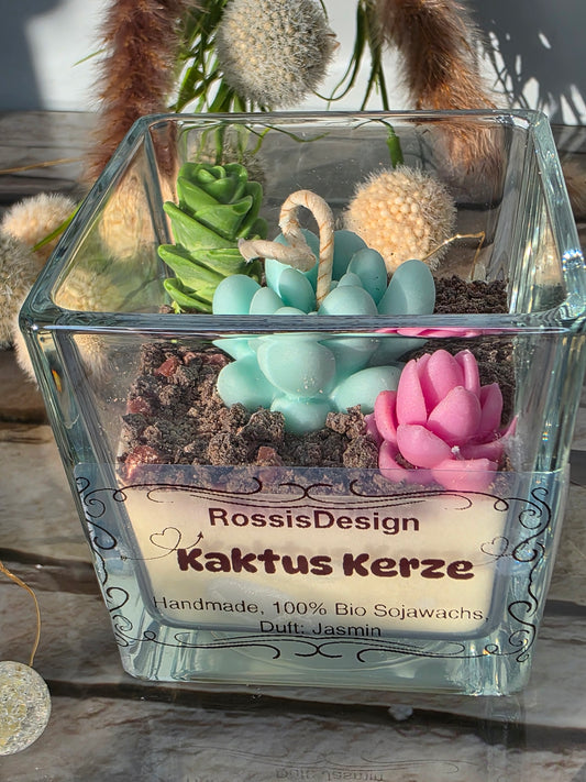 Kaktus Kerze Jasmin 2